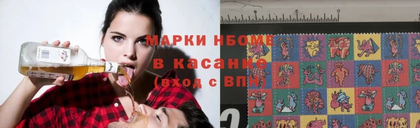 ГАЛЛЮЦИНОГЕННЫЕ ГРИБЫ Михайлов