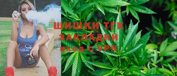 ГАЛЛЮЦИНОГЕННЫЕ ГРИБЫ Михайлов