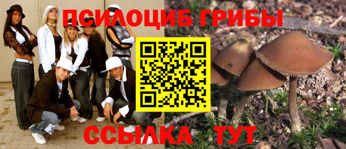 Галлюциногенные грибы Magic Shrooms Изобильный