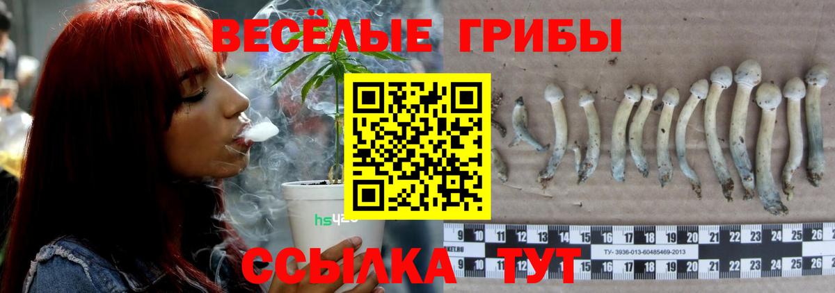 Изобильный  продажа наркотиков  Вход с VPN  Галлюциногенные грибы GOLDEN TEACHER 